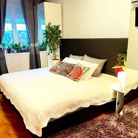 Appartamento Margaret Bridge Cosy Flat Budapest Esterno foto