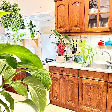 Appartamento Margaret Bridge Cosy Flat Budapest Esterno foto