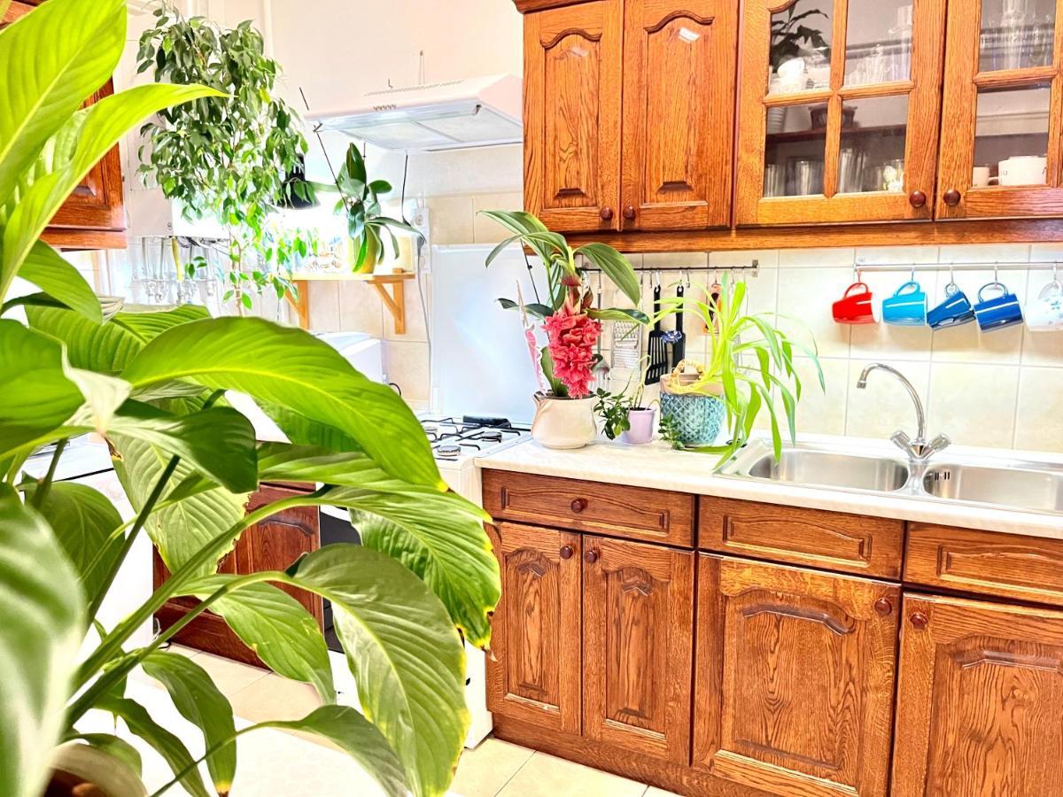 Appartamento Margaret Bridge Cosy Flat Budapest Esterno foto